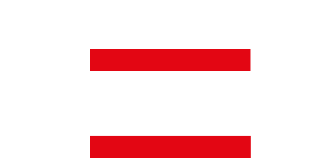WSI Logo weiss